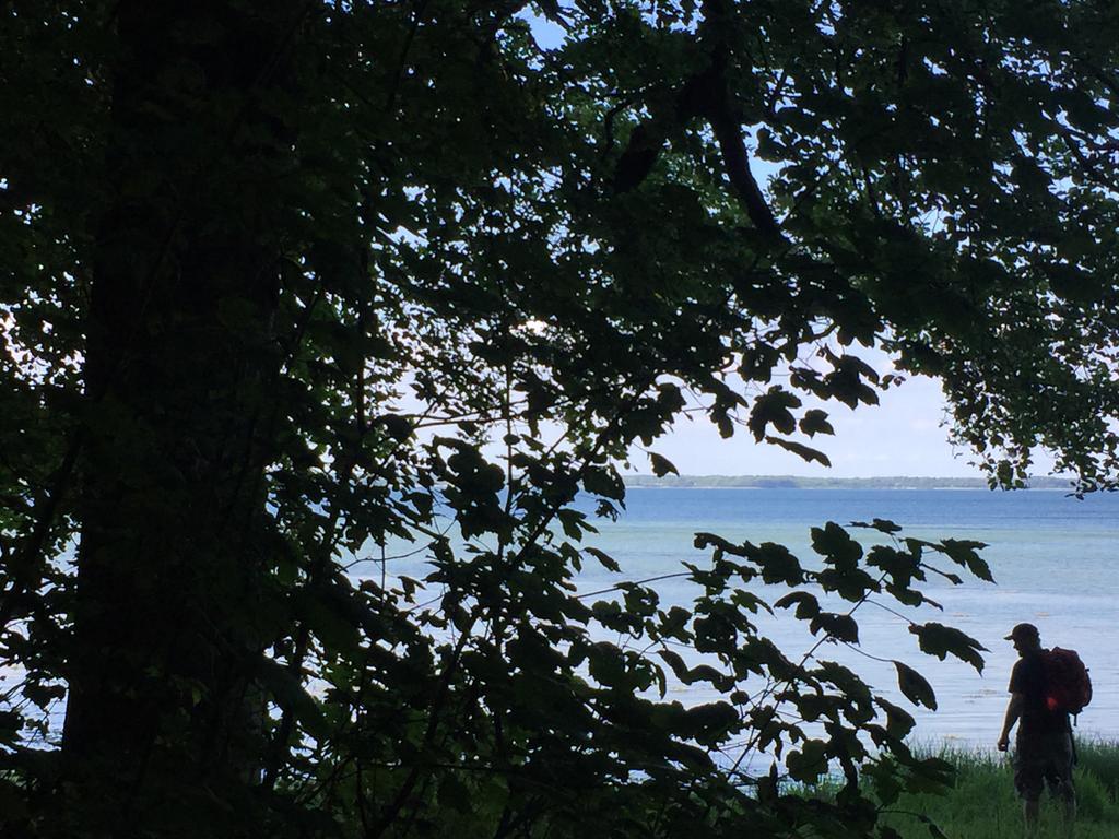 Lindegaardapartment - Woods And Sea Hejls Luaran gambar